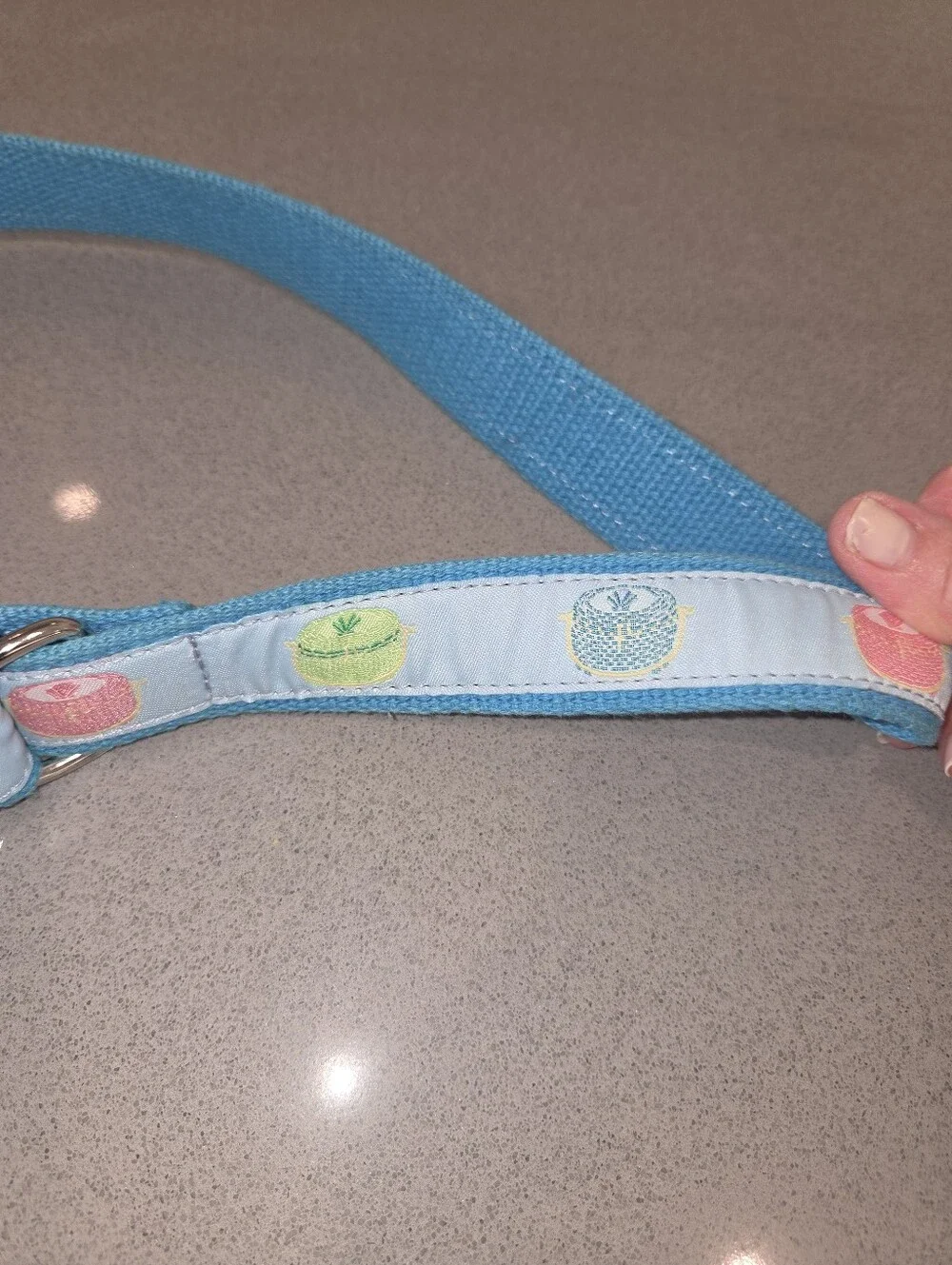 Nantucket Purses Blue Ribbon Adjustable Belt